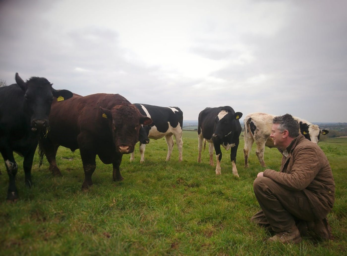 Andy with the cattle at Elston